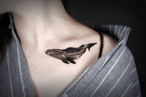 美女锁骨个性低调的黑灰鲸鱼纹身图案