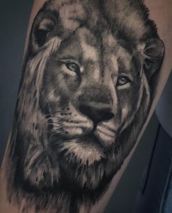 青岛梁先生大臂上的欧美写实狮子纹身图案